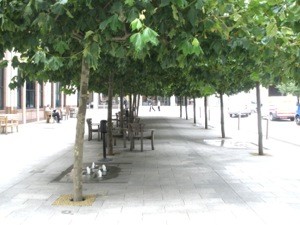 foto di uno spazio urbano con sedute e giochi d'acqua, alberi
